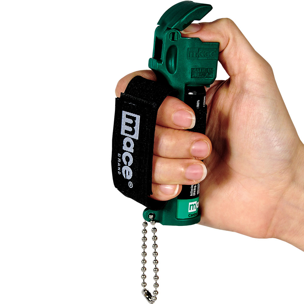 80536